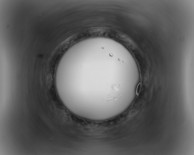 X0000086340821200704202059