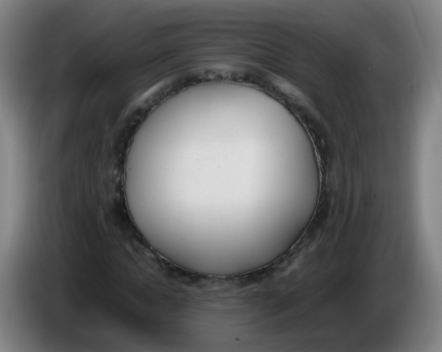 X0000086340822200704202059