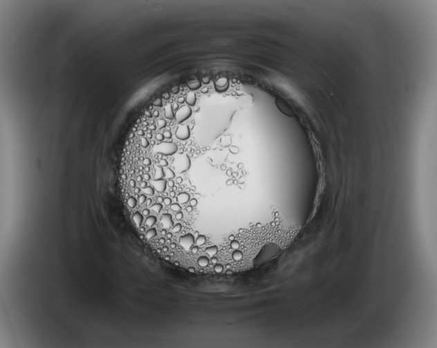 X0000086340823200704202059