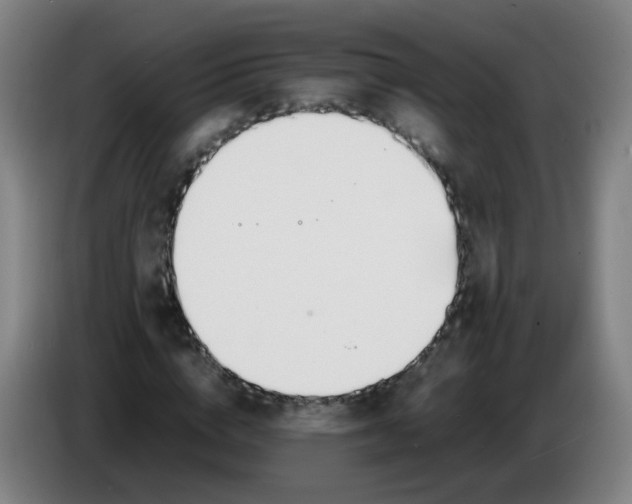 X0000086340824200704202059