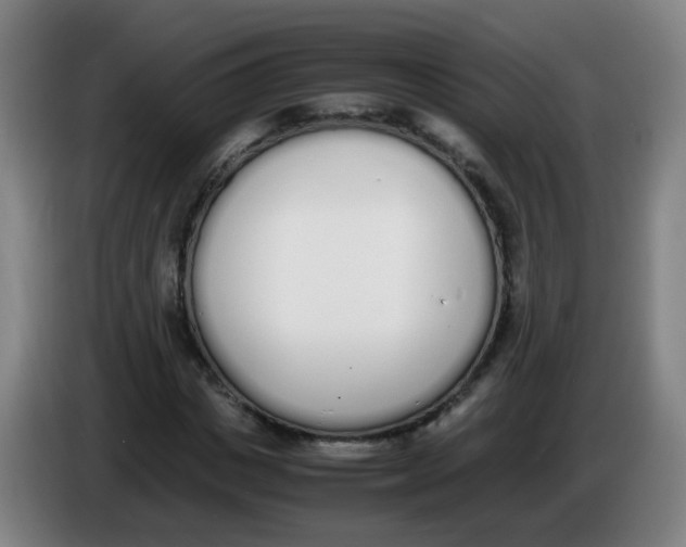 X0000086340825200704202059