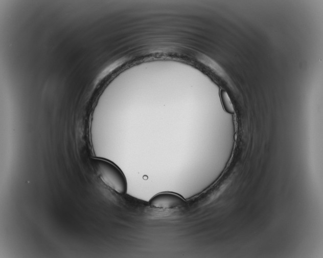 X0000086340826200704202059