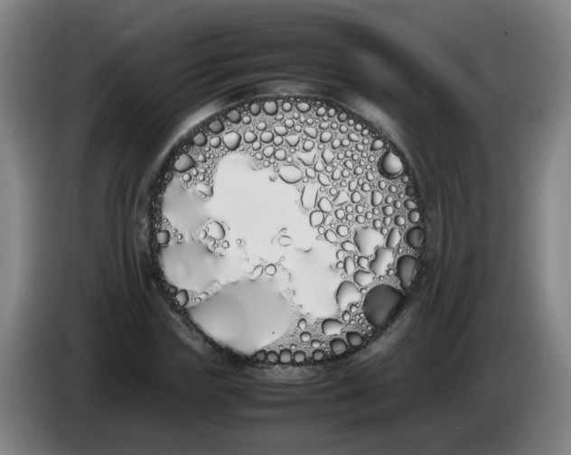 X0000086340827200704202059