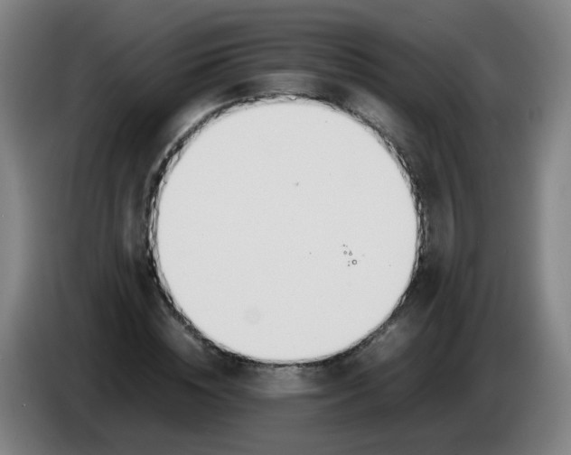 X0000086340828200704202059