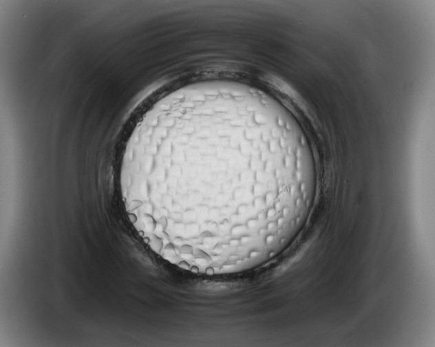 X0000086340829200704202059