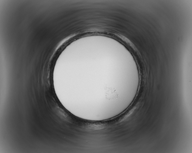 X0000086340830200704202059