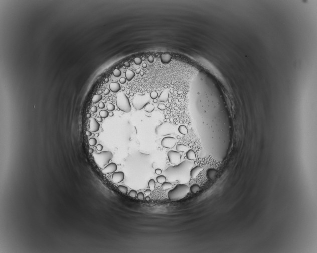 X0000086340831200704202059