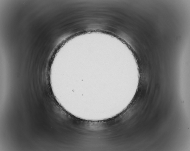 X0000086340832200704202059