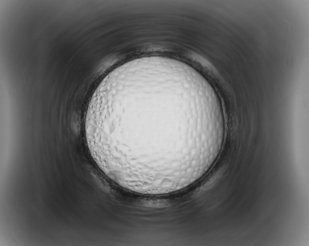 X0000086340833200704202059