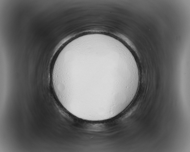 X0000086340837200704202059