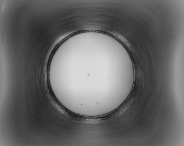 X0000086340840200704202059