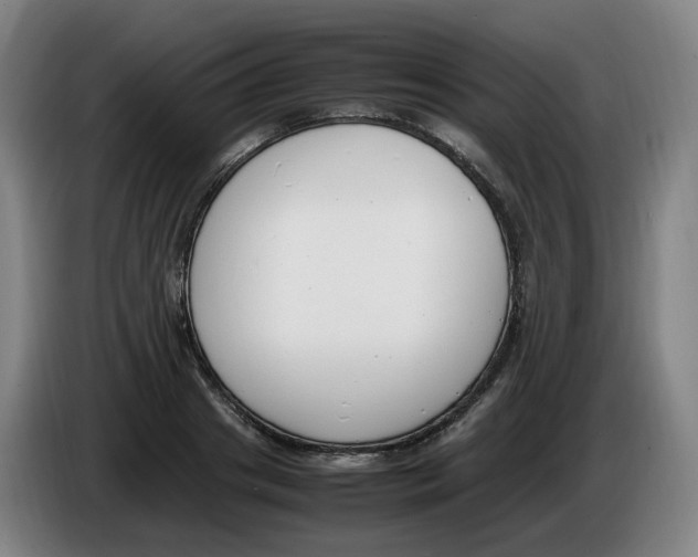 X0000086340841200704202059