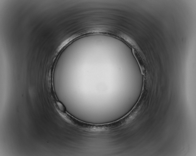 X0000086340842200704202059