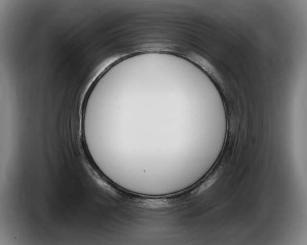 X0000086340844200704202059