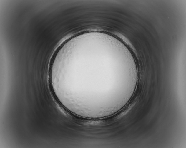 X0000086340845200704202059