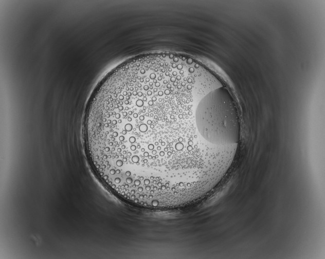 X0000086340847200704202059