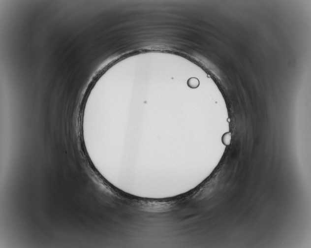 X0000086340848200704202059
