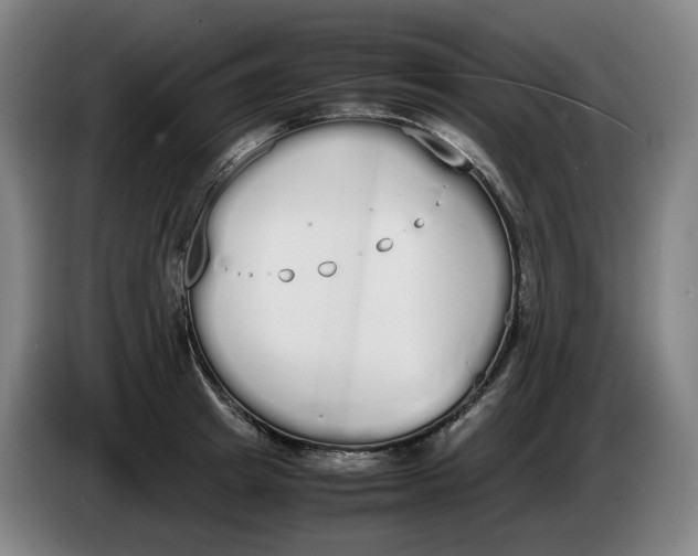 X0000086340849200704202059