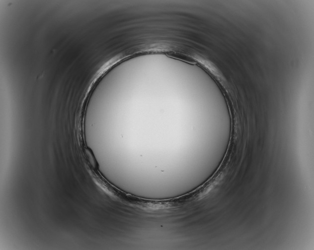 X0000086340850200704202059