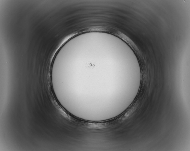 X0000086340852200704202100