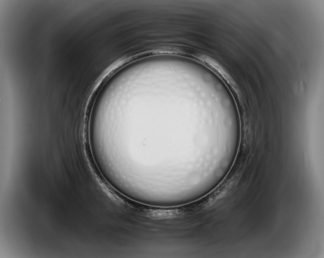 X0000086340853200704202100