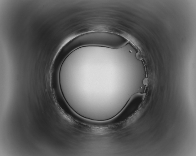 X0000086340854200704202100