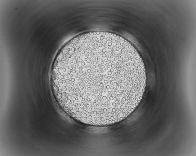 X0000086340856200704202100