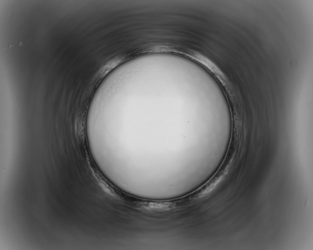 X0000086340857200704202100