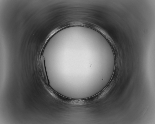 X0000086340858200704202100