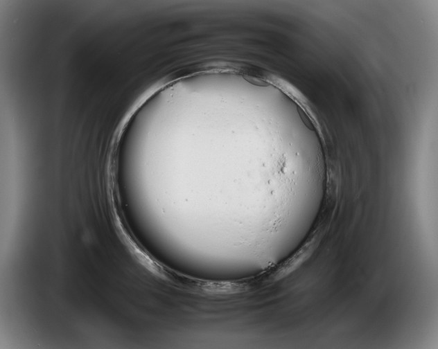 X0000086340859200704202100