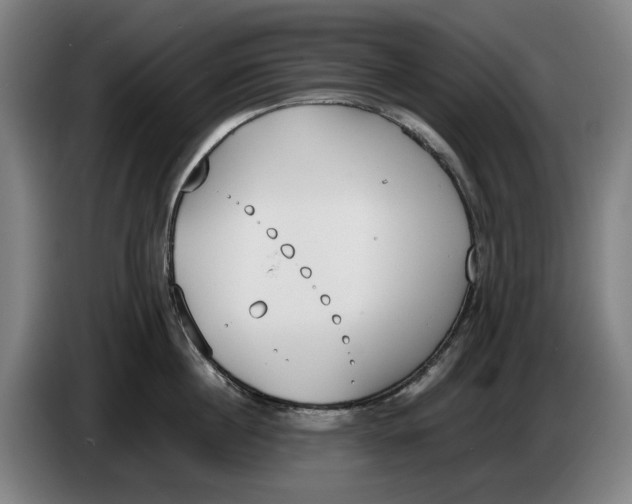 X0000086340860200704202100