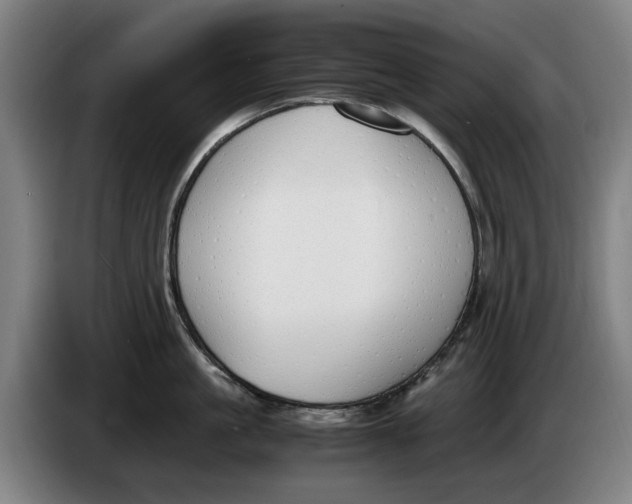 X0000086340861200704202100