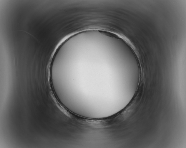 X0000086340862200704202100