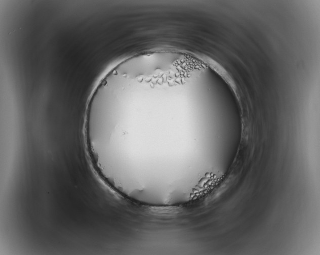 X0000086340863200704202100