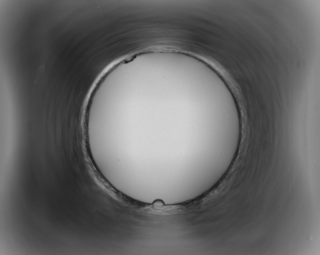 X0000086340864200704202100