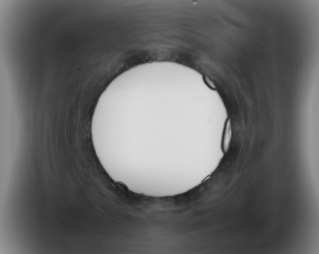 X0000086340865200704202059