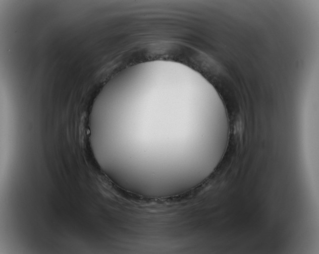 X0000086340868200704202059