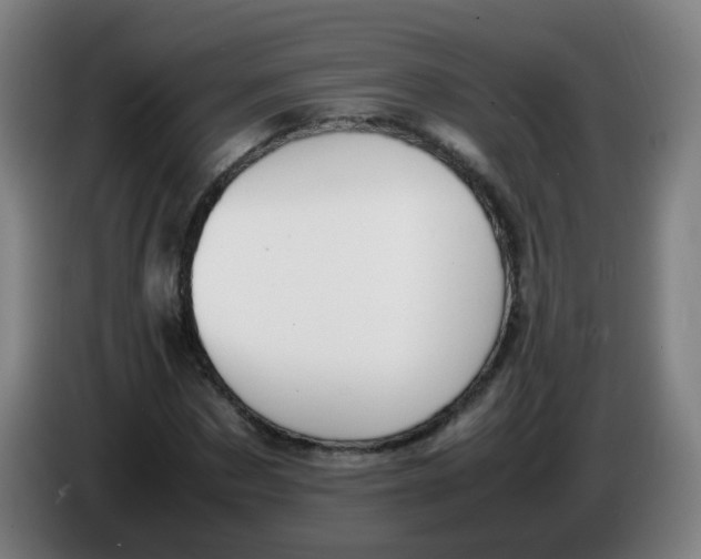 X0000086340873200704202059