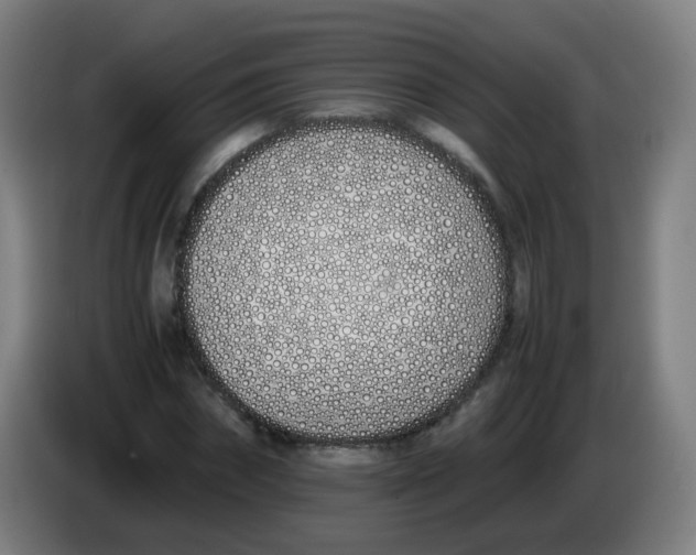 X0000086340874200704202059