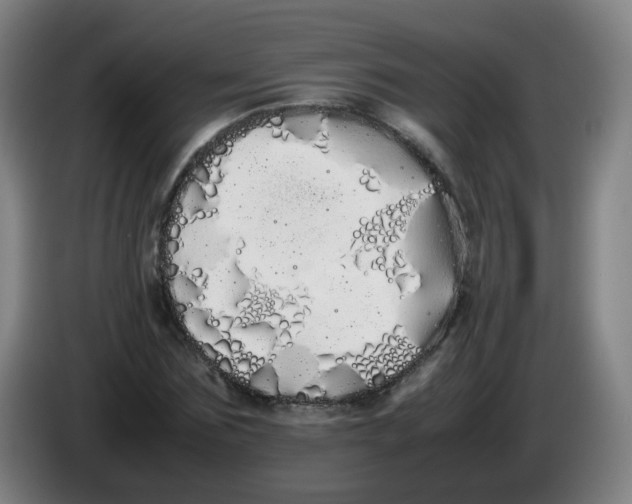 X0000086340875200704202059