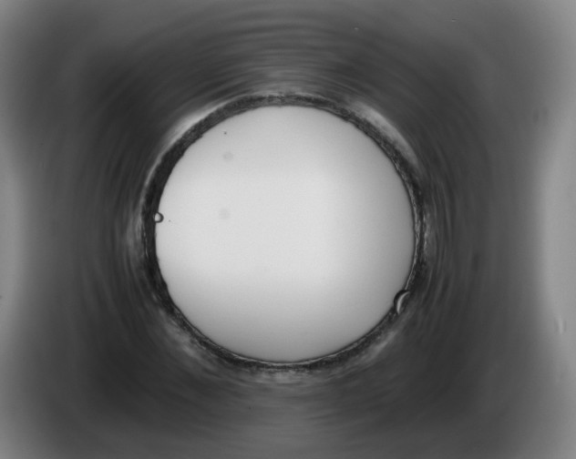 X0000086340876200704202059