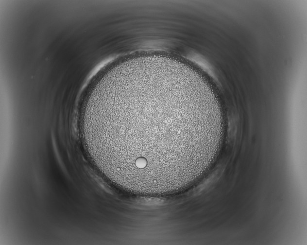 X0000086340878200704202059