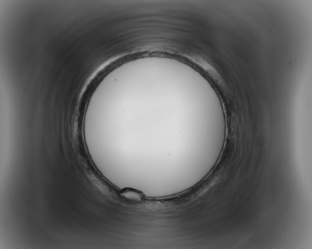 X0000086340880200704202059