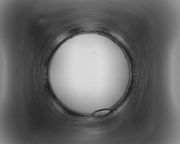 X0000086340881200704202059