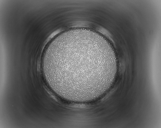 X0000086340882200704202059