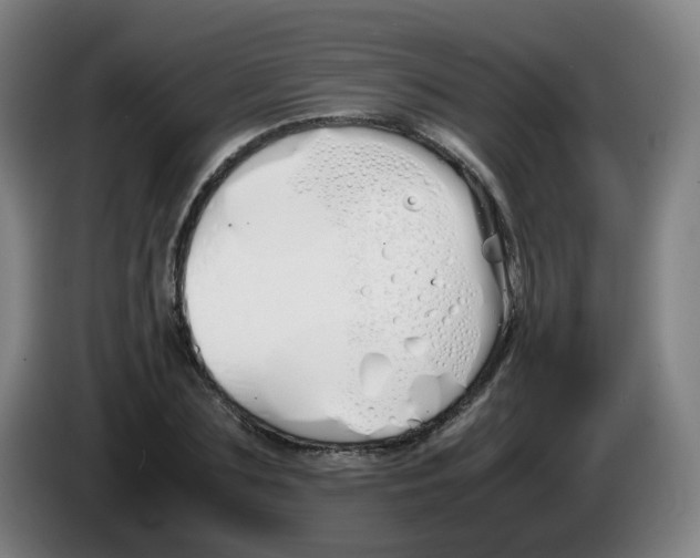 X0000086340883200704202059