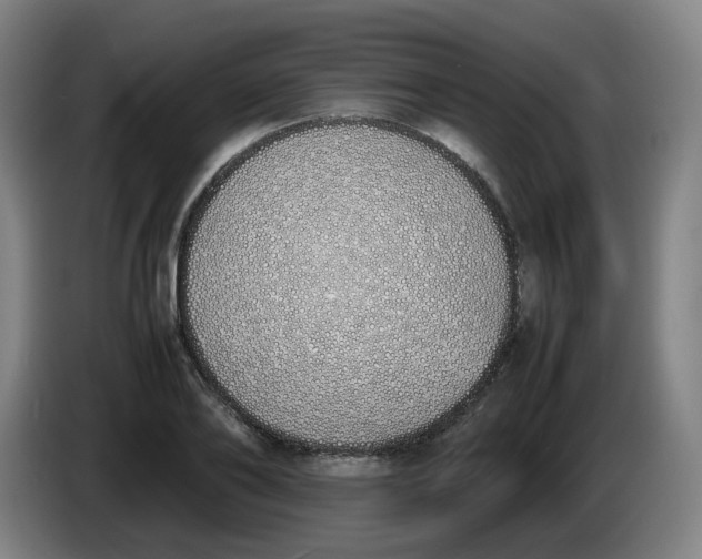 X0000086340886200704202059