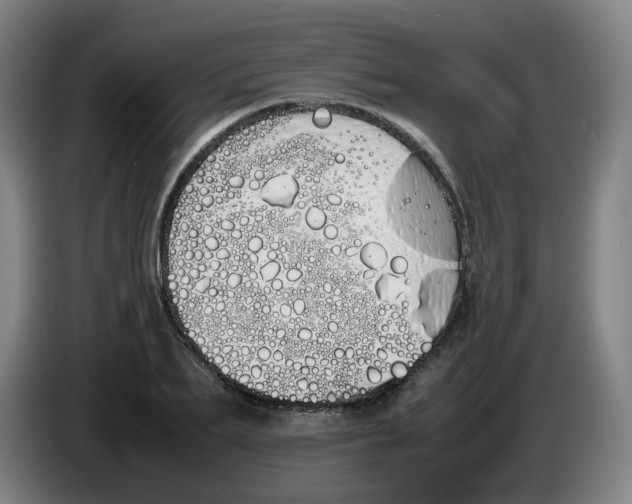 X0000086340887200704202059