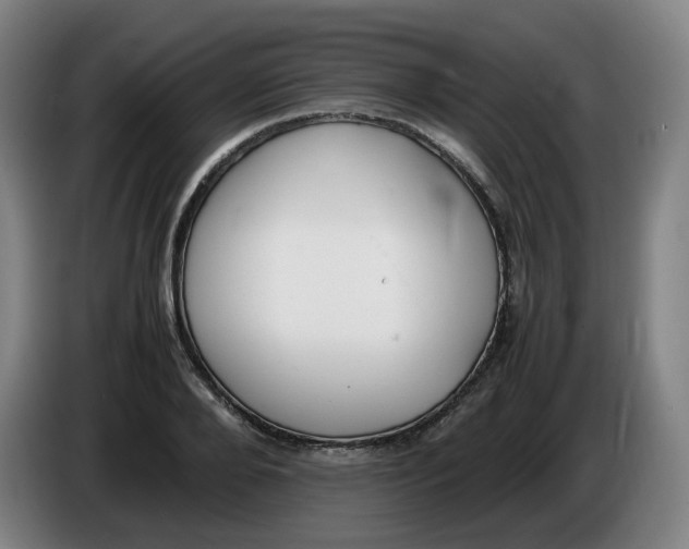 X0000086340888200704202059