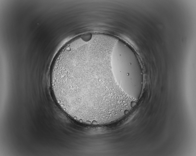 X0000086340891200704202059